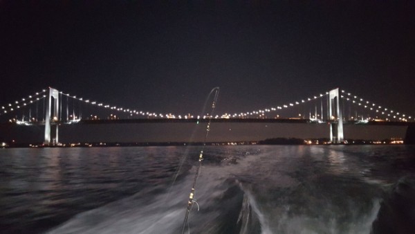 night_fishing_new_rochelle_new_york_city_westchester.jpg